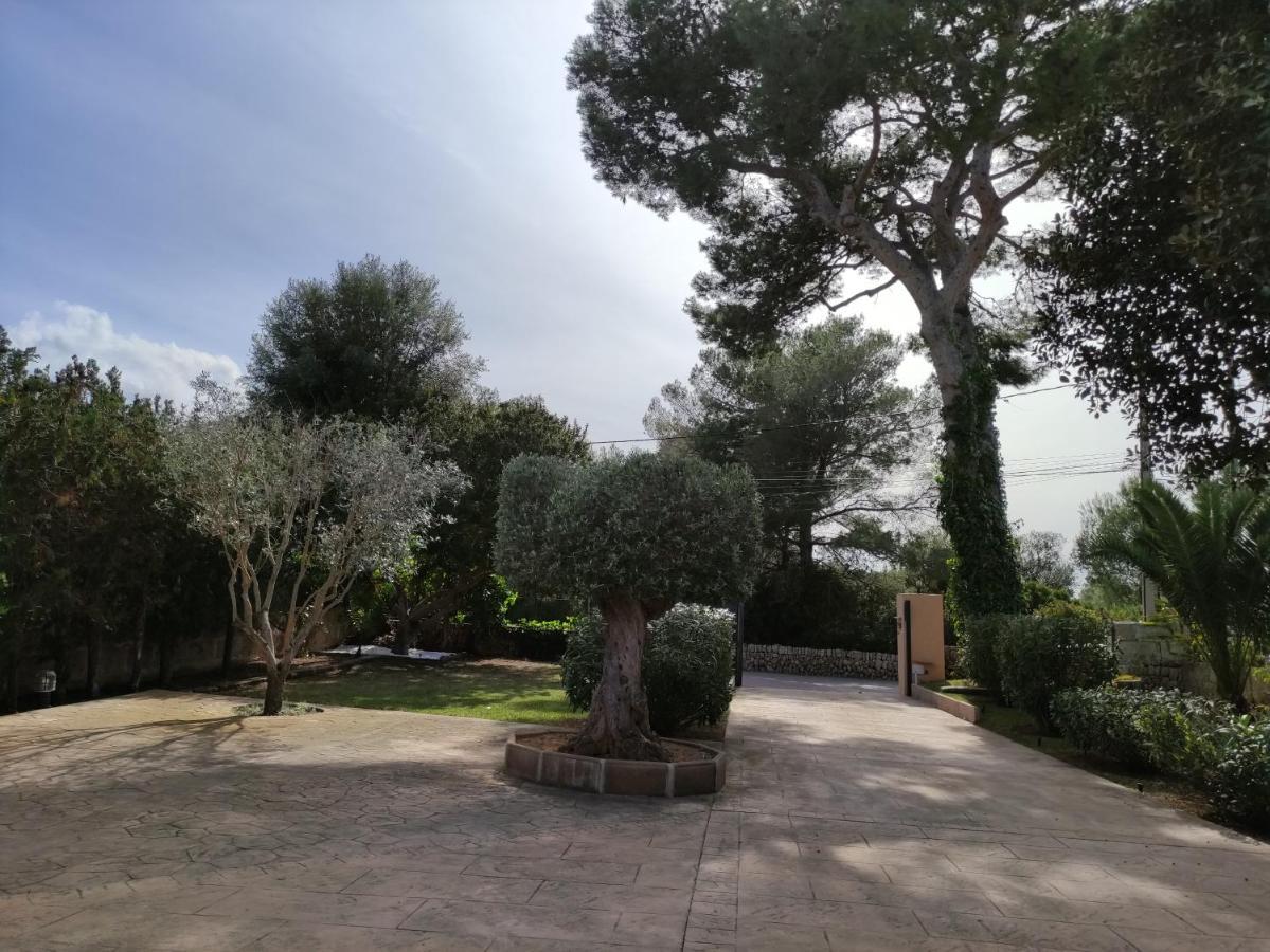 Villa Mestral Alcúdia Extérieur photo