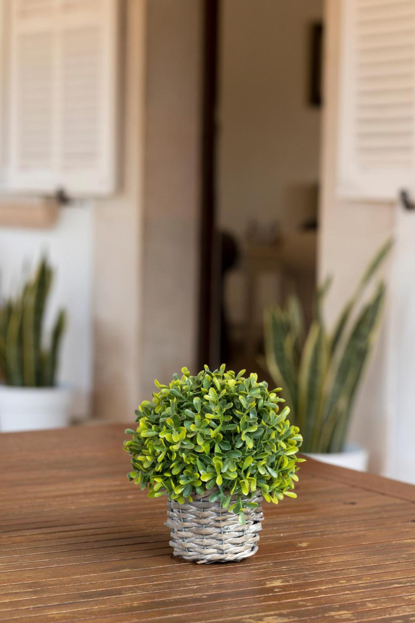 Villa Mestral Alcúdia Extérieur photo